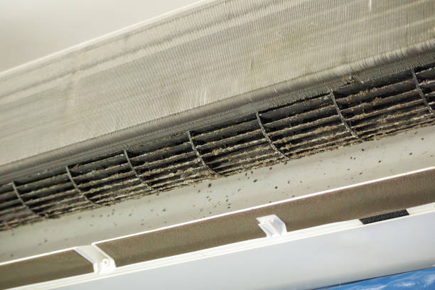 Best Best Air Duct Cleaning Company  in Indnola, IA